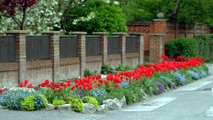 Roadside Border