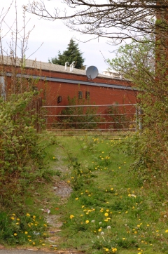 Path Near Thornton Level Crossing